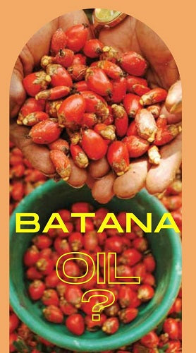 What is Batana Oil? – ManeMethod